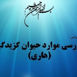 پاورپوینت زیبا با موضوع هاری