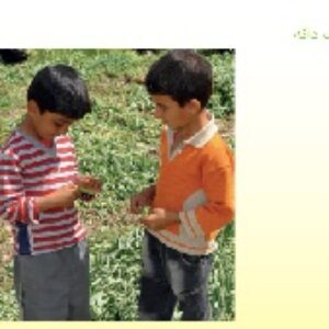 پاور پوینت درس 9 علوم پایه دوم دبستان ( سرگذشت دانه )