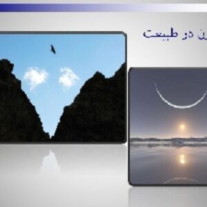 تقارن از طبیعت تا معماری