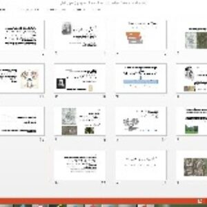 پاورپوینت باغ شهر