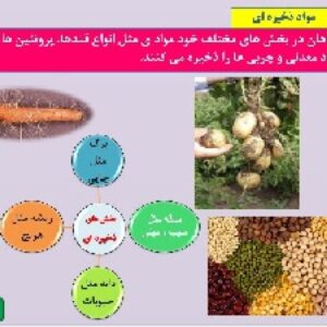 پاورپوینت درس علوم پایه نهم تجربی فصل 13جانوران بی مهره