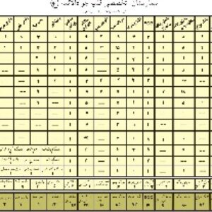 بررسی وضعیت نت در بیمارستان خیریه تخصصی قلب و عروق جوادالائمه