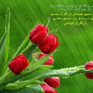 810حدیث