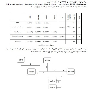 نمونه مدرک مهندسی محاسبات شبکه آبرسانی مجتمع صنعتی water pipe sizing Calculation Rev D
