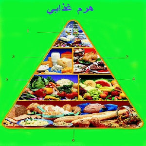 هرم غذایی و رژیم و شناخت گروه های غذایی