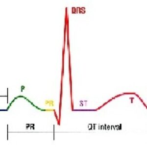 پاورپوینت کامل با عنوان الکتروکاردیوگرام و تفسیر سیگنال های آن (ECG) در 202 اسلاید
