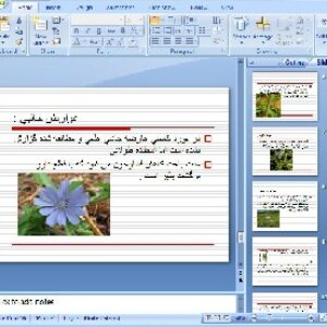 دانلود پاورپوینت خواص دارویی گیاه کاسنی- 16 اسلاید