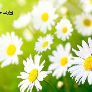 وزارت خانه های ایران