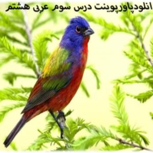 دانلودپاورپوینت درس سوم عربی هشتم