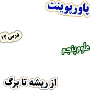 پاورپوینت علوم تجربی پنجم، درس 12: از ریشه تا برگ